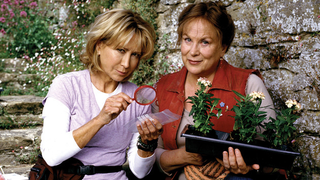 Illustration for article titled A round-up of cozy mystery tv shows